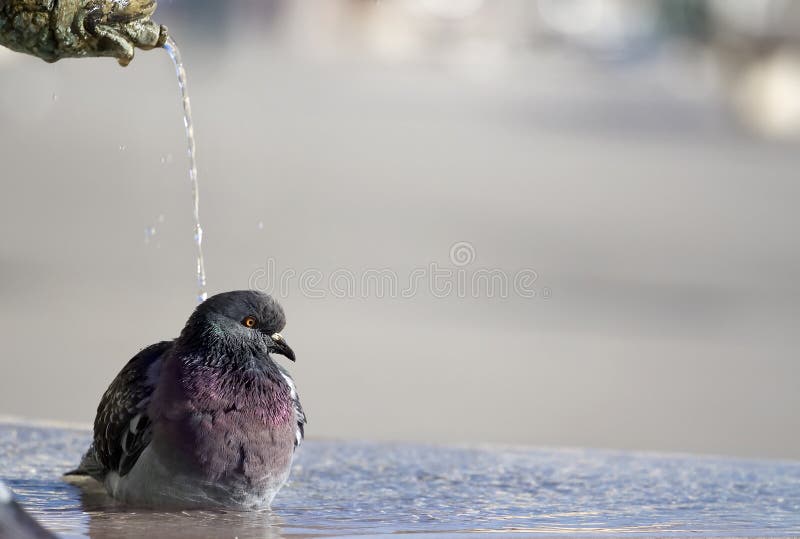 Shower time