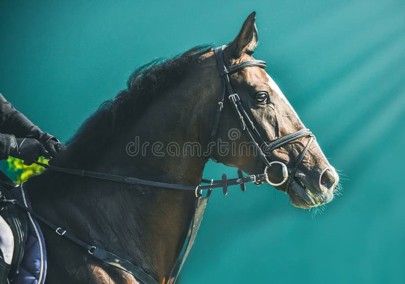 Showjumping competition, bay horse and rider in black uniform going performing jump.