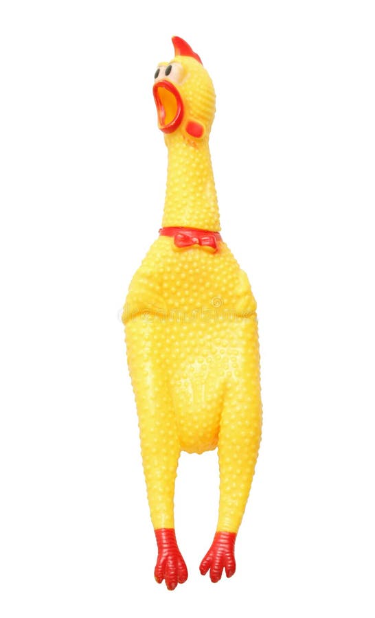 chicken squeaky toy
