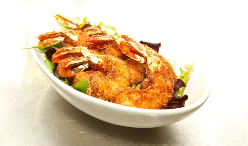 Shrimp stock photography