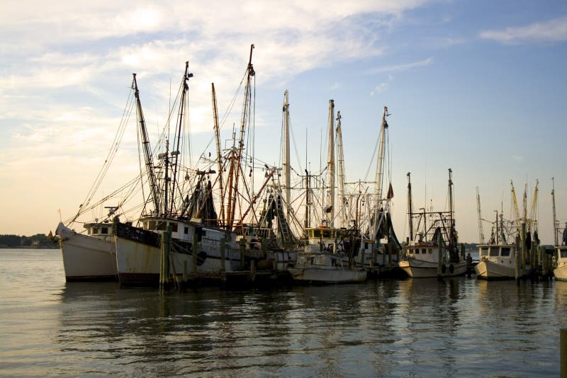 Shrimp Boats In The Afternoon Stock Photo Image of gull, fishing