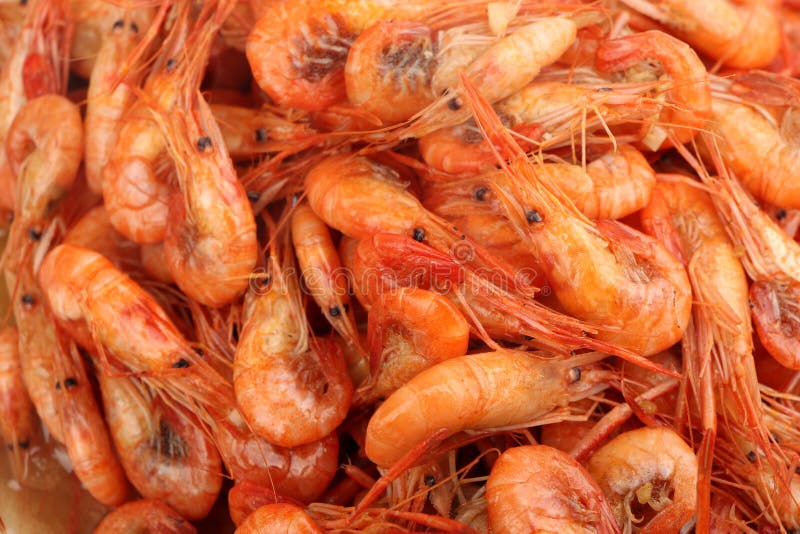 Close up of many cooked shrimp.