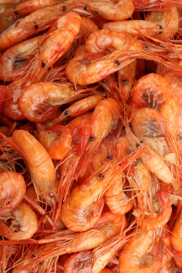 Close up of many cooked shrimp.