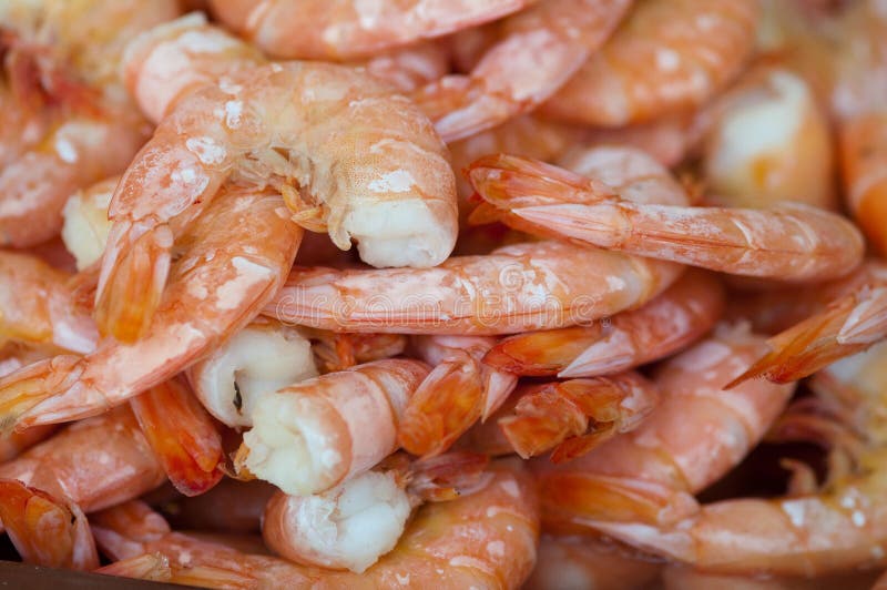 Steamed Shrimp at the Fish Market in Washington DC. Steamed Shrimp at the Fish Market in Washington DC