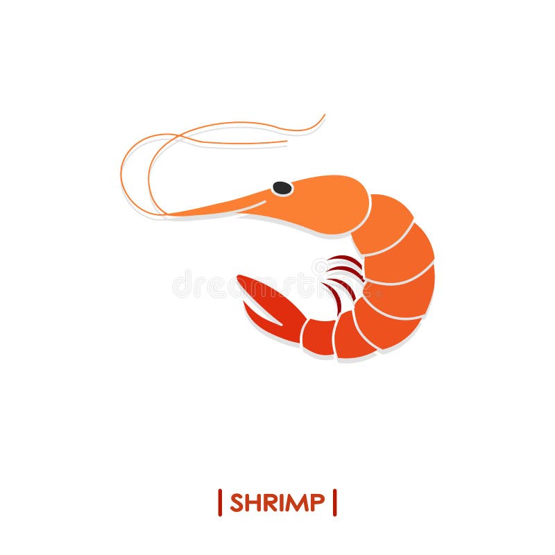 Shrimp colorful icon vector illustration Shrimp colorful icon vector illustration