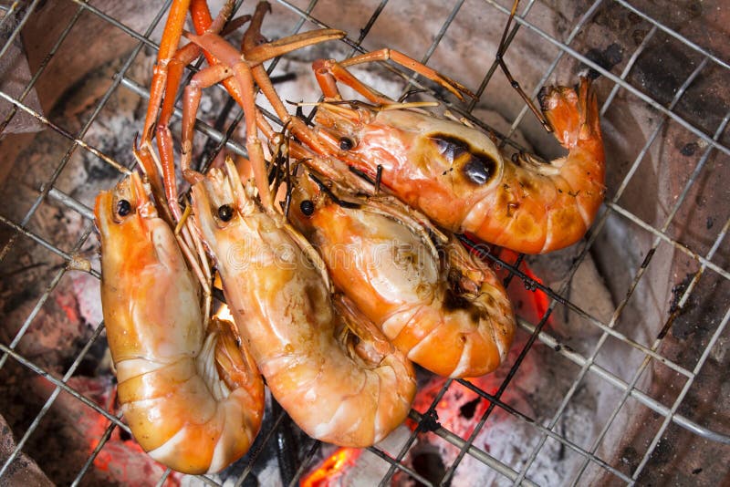 Shrimp Grill Charcoal Stove Stock Image Image of roast, shrimp 36602581
