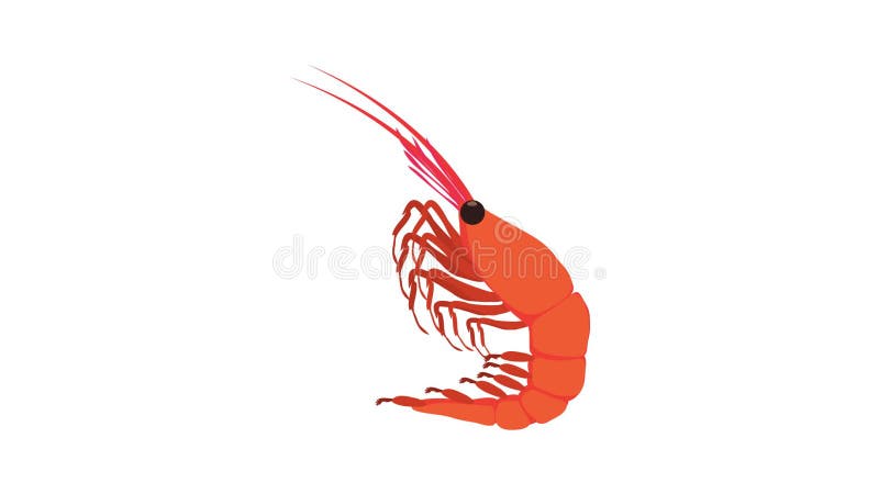 Shrimp icon animation stock illustration