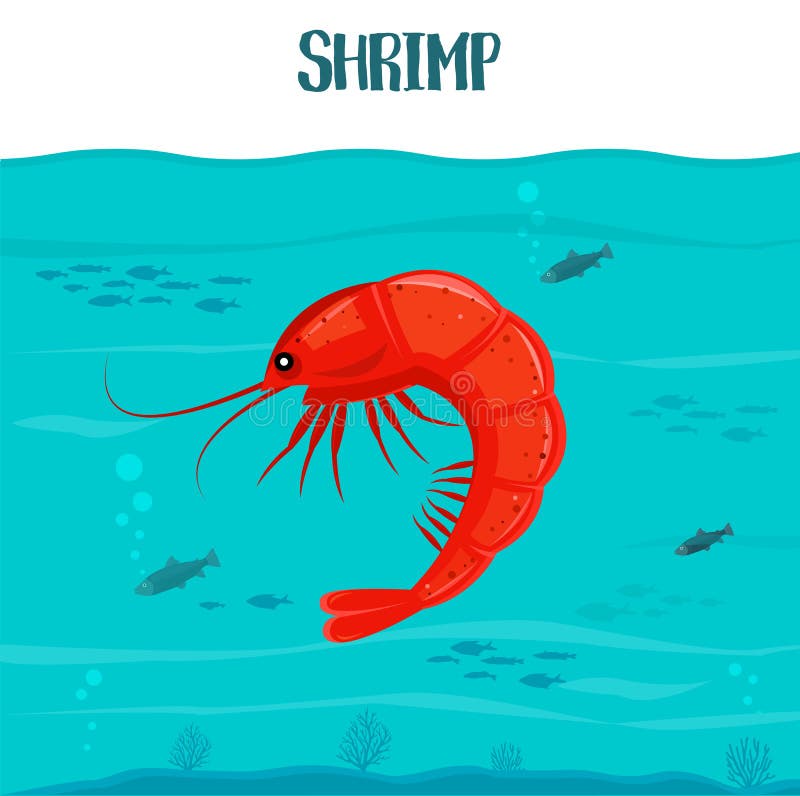 Shrimp icon. Vector illustration. Red shrimp isolated on blue water background. Seafood. Prawn in sea. For restaurant stock illustration Shrimp icon. Vector illustration. Red shrimp isolated on blue water background. Seafood. Prawn in sea. For restaurant stock illustration