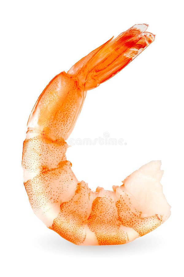 shrimp isolated on white background with clipping path
