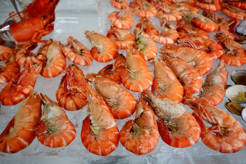 Shrimp, Seafood Buffet in Hotel Stock Photo Image of food, restaurant