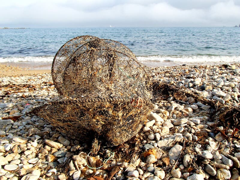 Shrimp trap stock photo. Image of kitchen, fine, crab 8981218