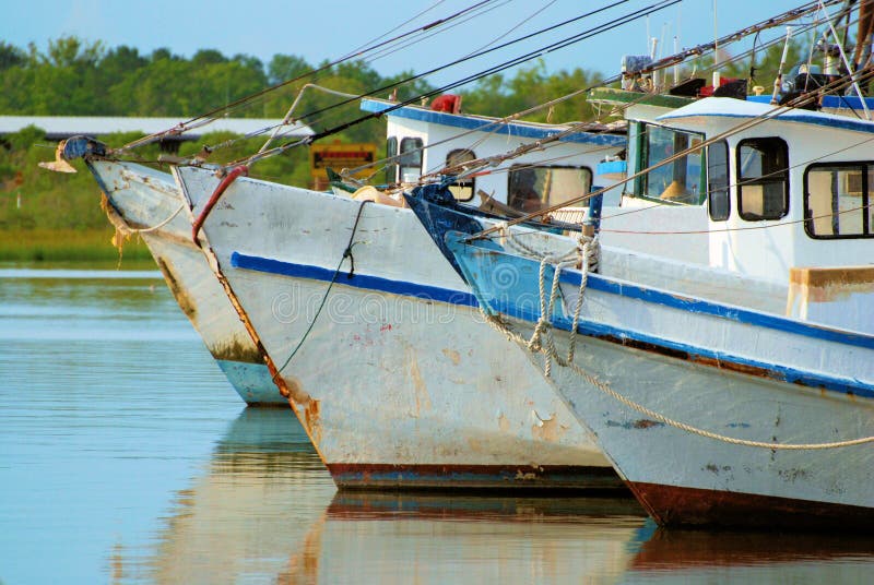 Shrimping Fleet