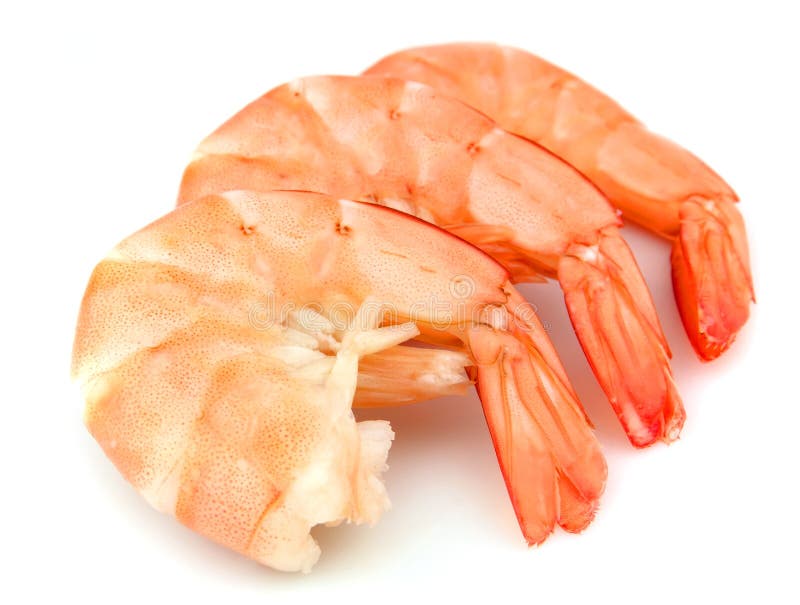 Shrimps