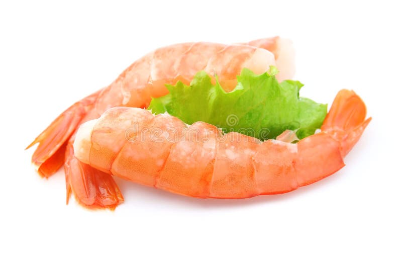 Shrimps