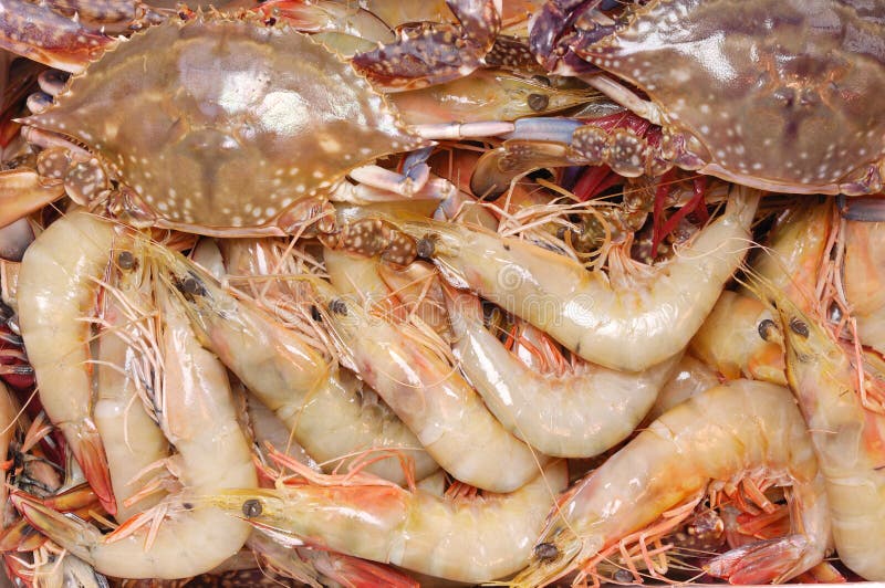Shrimps and crabs stock photo. Image of fresh, seafood 6618082