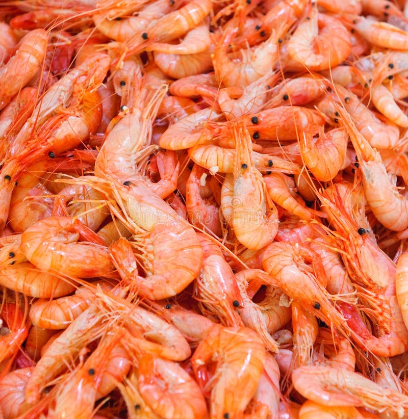 Shrimps at fishmarket stock photo. Image of fishing, market 10328656