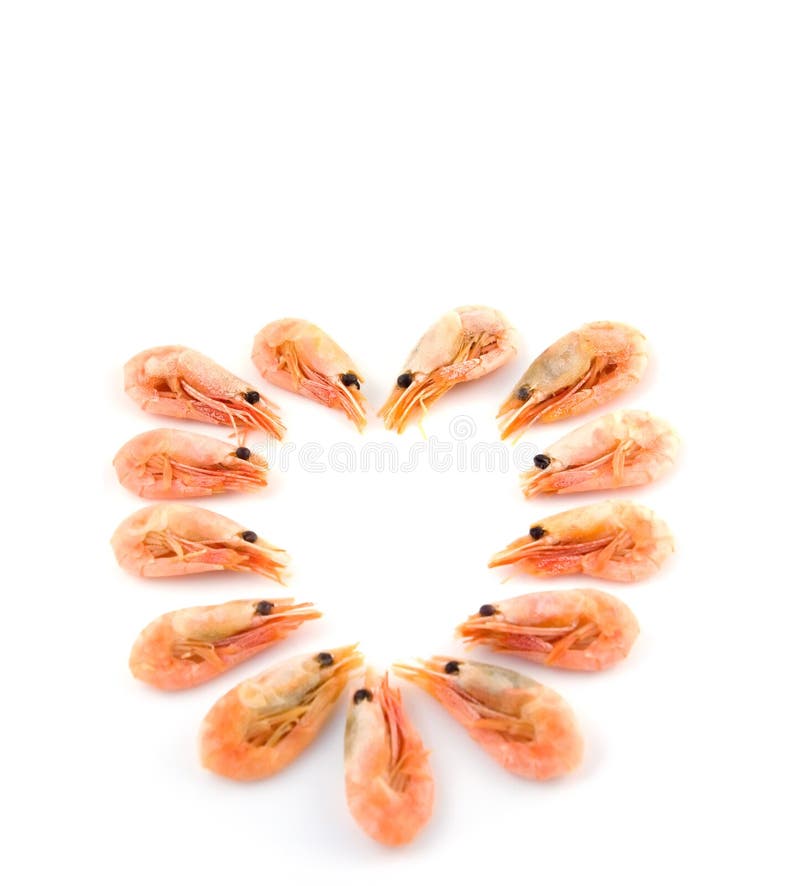 Shrimps heart