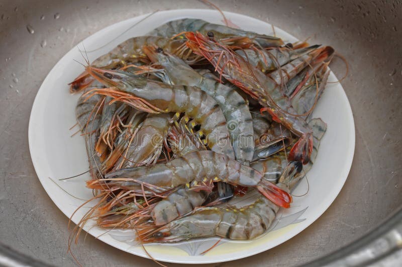 Seafood, Crustaceans And Fish Stock Image - Image of snapper, prawns ...