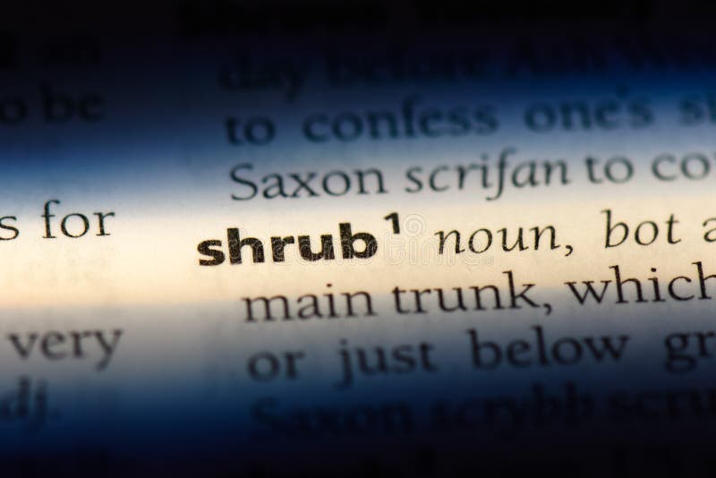 Shrub stock image. Image of idea, dictionary, info, definition 126619127