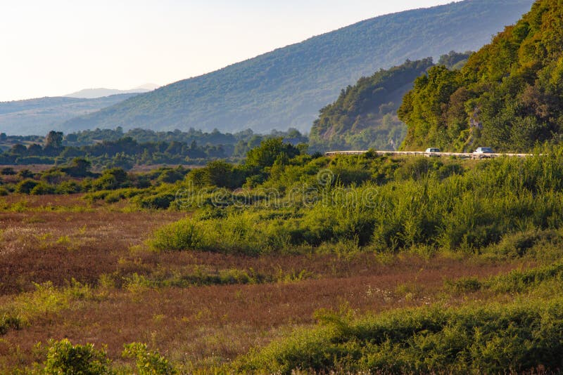 Shrubland Vegetation in Mediterranean Stock Photo Image of plants