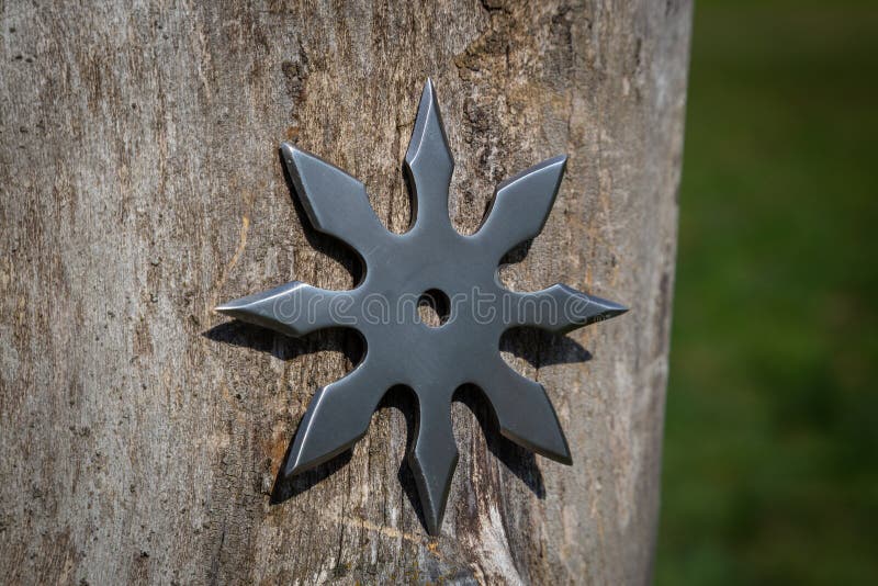 Shuriken miotania gwiazda, tradycyjnego japo?skiego ninja zimna bro? wtyka? w drewnianym tle zdjęcia stock Shuriken miotania gwiazda, tradycyjnego japo?skiego ninja zimna bro? wtyka? w drewnianym tle zdjęcia stock