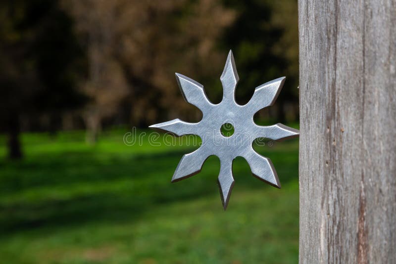Shuriken miotania gwiazda, tradycyjnego japo?skiego ninja zimna bro? wtyka? w drewnianym tle zdjęcia stock Shuriken miotania gwiazda, tradycyjnego japo?skiego ninja zimna bro? wtyka? w drewnianym tle zdjęcia stock