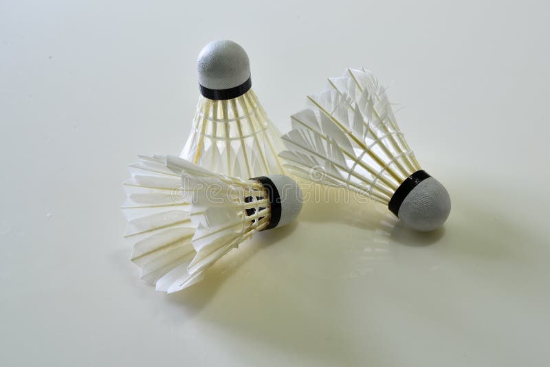 Shuttle for Badminton Player Stock Image Image of entertainment