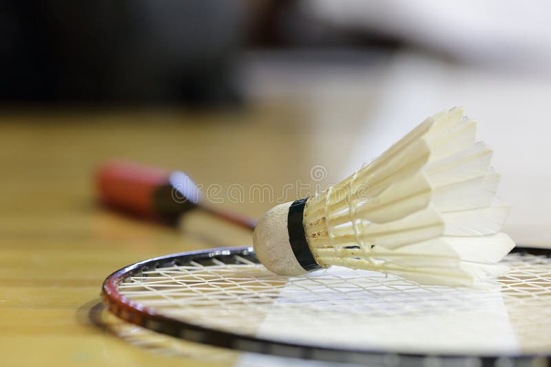 Shuttlecock and Racket badminton