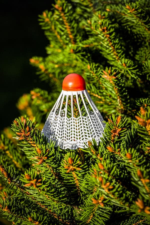 Shuttlecock on a tree stock photos