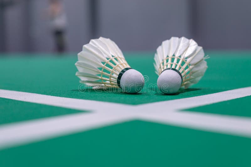 shuttlecock бадминтона крупного плана на зеленом суде стоковое изображение rf shuttlecock бадминтона крупного плана на зеленом суде стоковое изображение rf