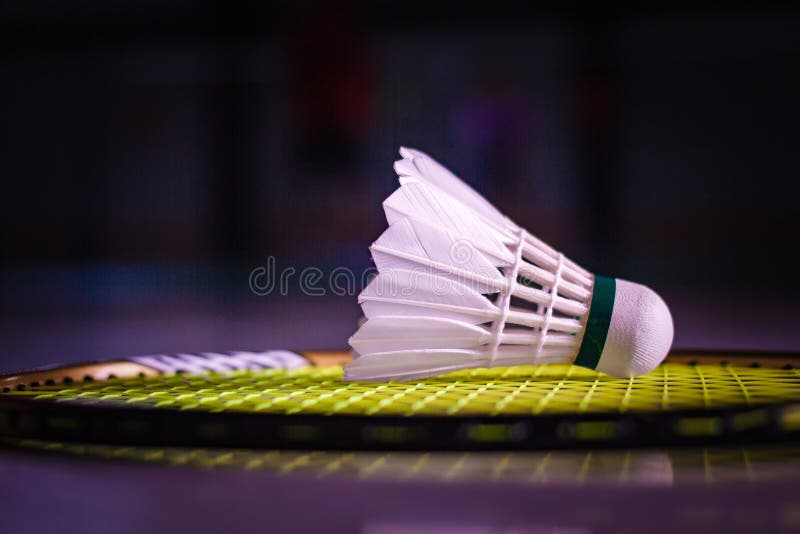 Shuttlecocks and Badminton Racket Stock Photo - Image of sport,  shuttlecocks: 167446378
