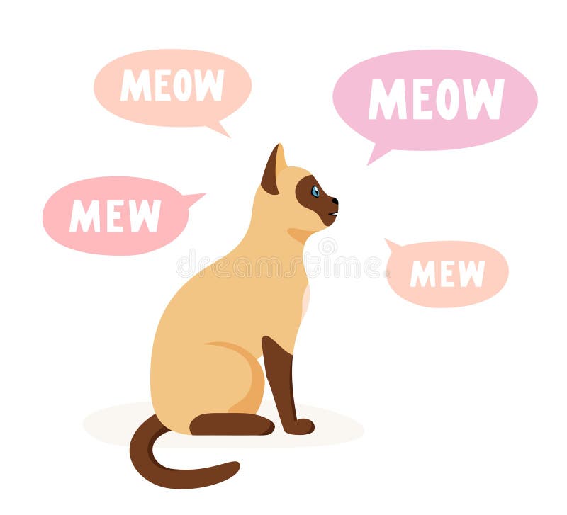 Cat Being Yelled At Icon 12721533 Vector Art at Vecteezy