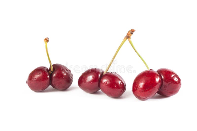 Cherries twins stock image. Image of still, nature, tree - 94298635