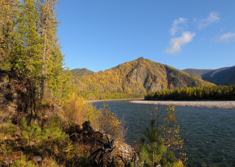 Colorful Autumn Landscape Stock Photo Image Of Coniferous 45626898