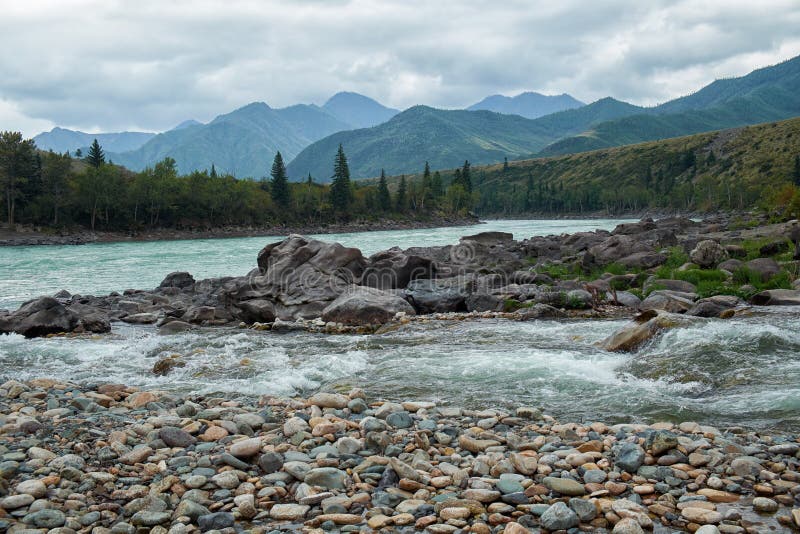Siberian River Katun In Altai Mountains Stock Photo Image Of Rapids