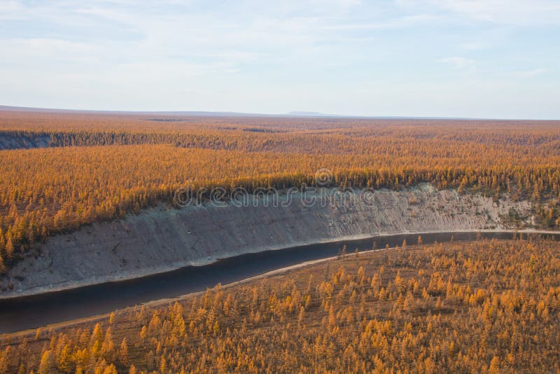 Siberian River And Larch Taiga In The Fall Stock Photo Image Of