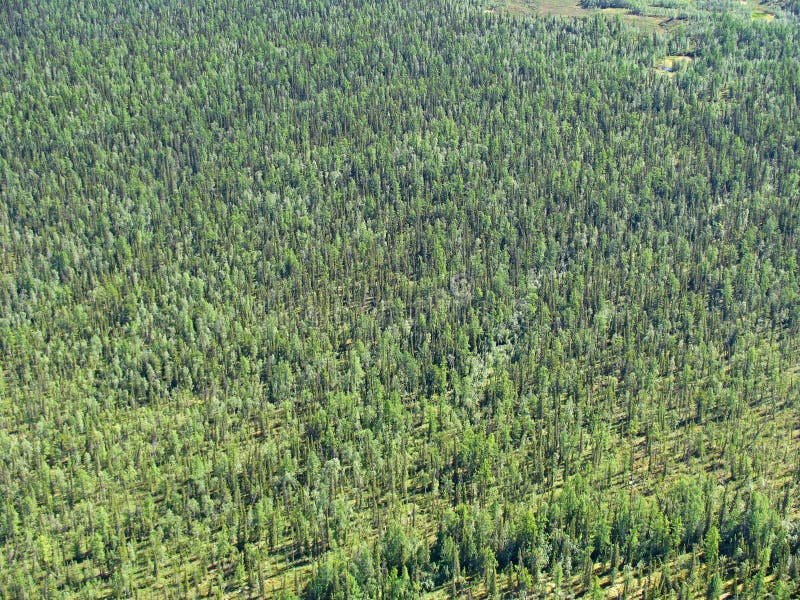 48,874 Taiga Landscape Stock Photos - Free & Royalty-Free