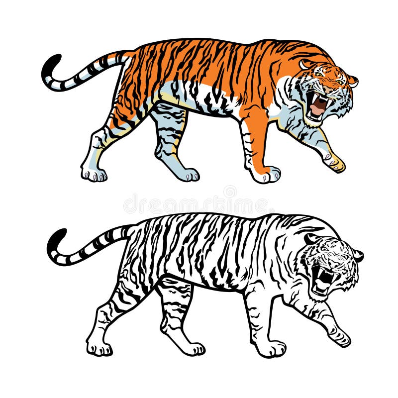 Siberian Tiger Tattoo  TigerUniverse