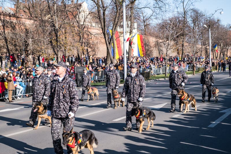 Military Parade on National Day of Romania royalty free stock photography Military Parade on National Day of Romania royalty free stock photography