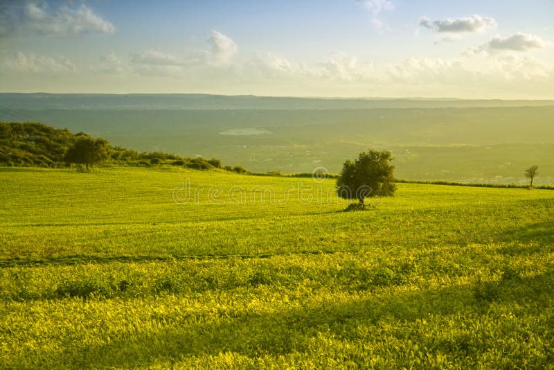 The sicilian landscape