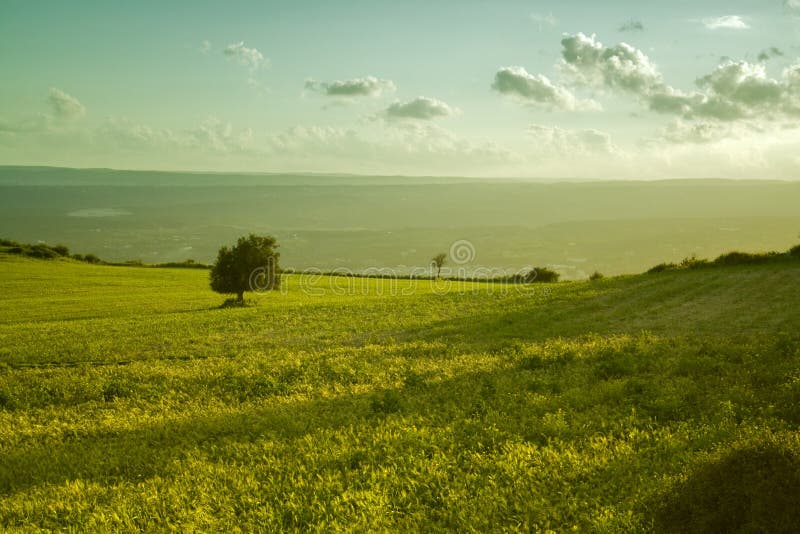 The sicilian landscape