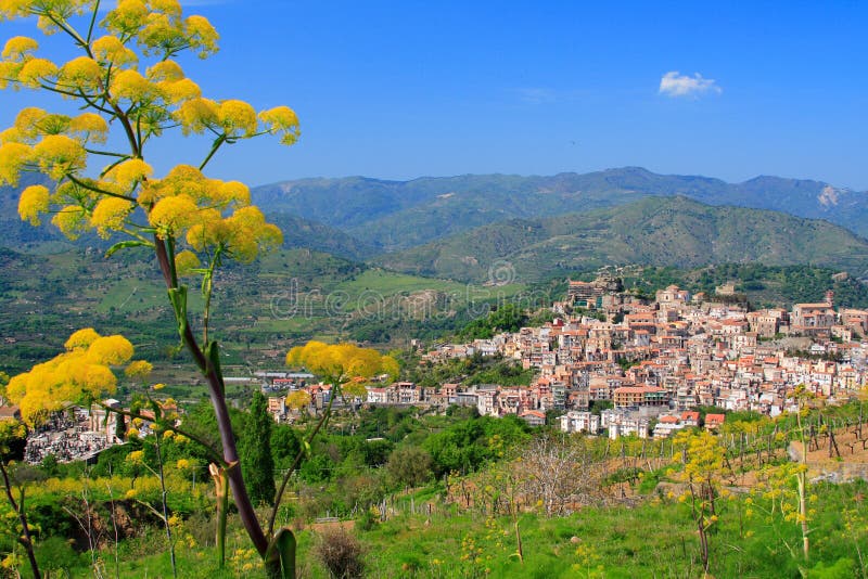 Sicilian village and flowers