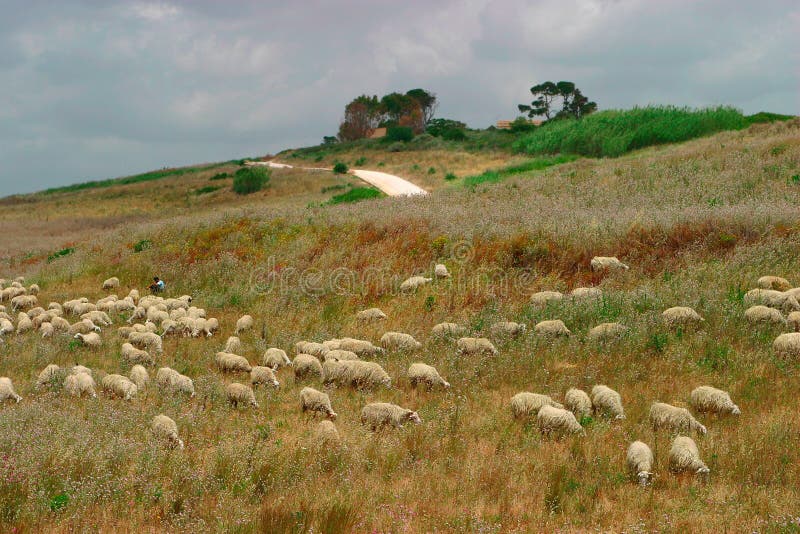 Scenic landscape on sicily-ITALY