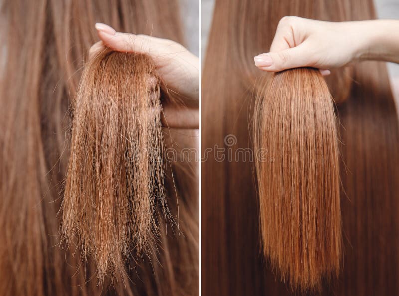 226,894 Hair Treatment Stock Photos - Free & Royalty-Free Stock Photos from Dreamstime 226,894 Hair Treatment Stock Photos - Free & Royalty-Free Stock Photos from Dreamstime