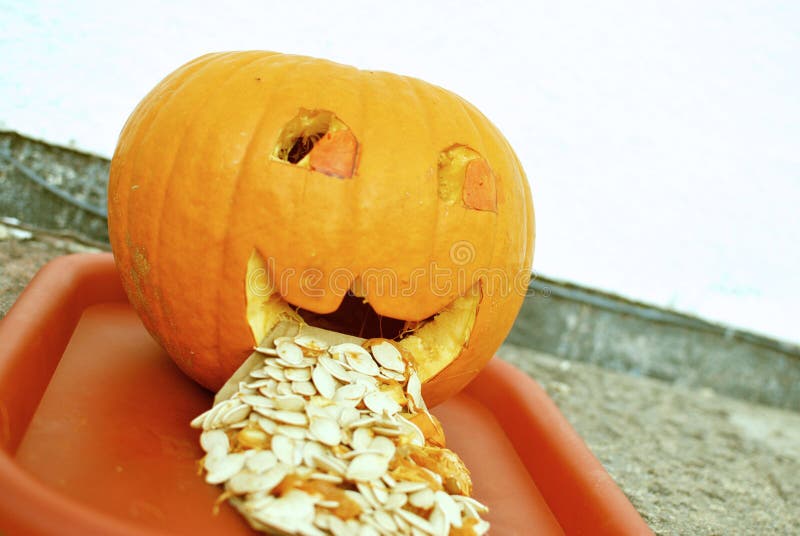 Vomiting Pumpkin stock photo. Image of sick, autumn, orange 6795014