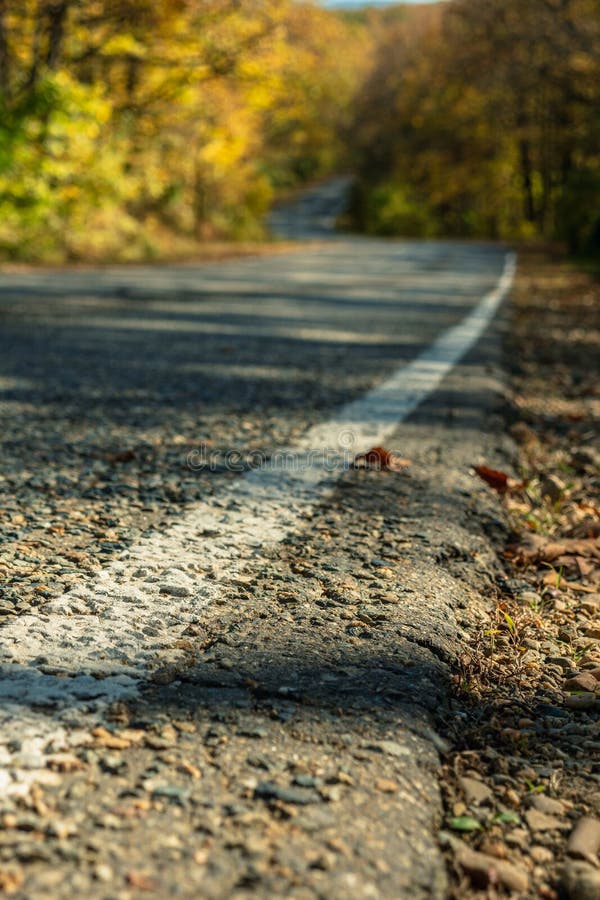 The Side of the Asphalt Road with a White Solid Line of Markings. in the  Background is a Blurry Fall Forest Stock Image - Image of wild, nature:  233343841
