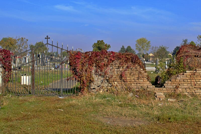 A side entrance to a village cemetery. The gates of paradise. peace and quiet and much wild vegetation stock photography A side entrance to a village cemetery. The gates of paradise. peace and quiet and much wild vegetation stock photography
