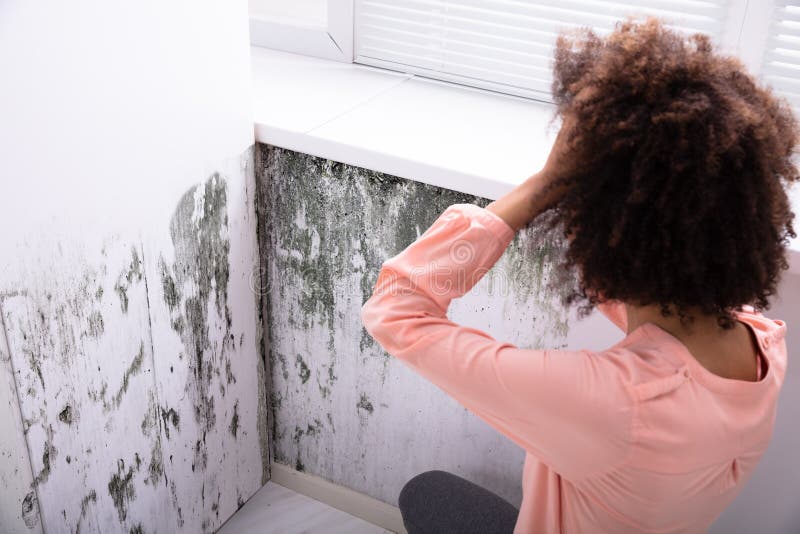 How to Get Rid of Mold on Walls Permanently