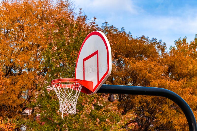 Basketball Hoop Side View with Autumn Colored Trees in the Background