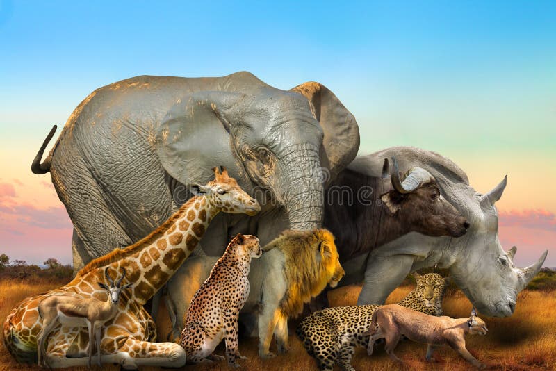 133,157 African Animals Stock Photos - Free & Royalty-Free Stock Photos  from Dreamstime
